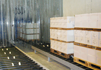 Frysehus lager conveyorsystem